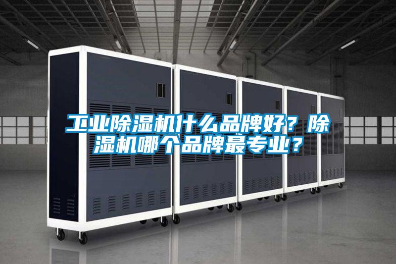 工業(yè)除濕機(jī)什么品牌好？除濕機(jī)哪個(gè)品牌最專(zhuān)業(yè)？