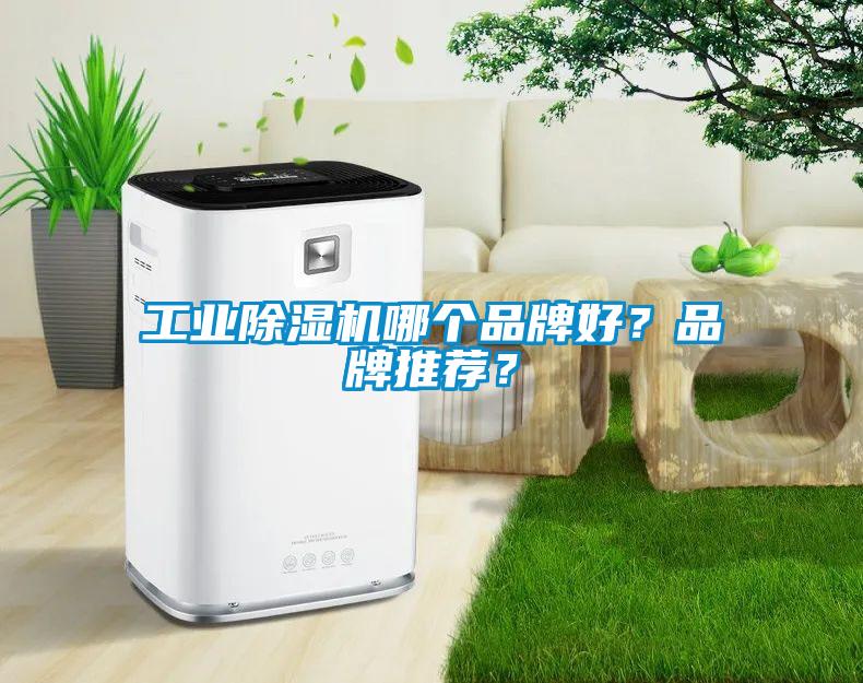 工業(yè)除濕機哪個品牌好?品牌推薦?