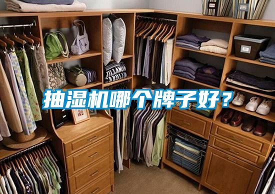 抽濕機哪個牌子好？
