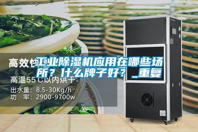 工業(yè)除濕機應用在哪些場所?什么牌子好?_重復