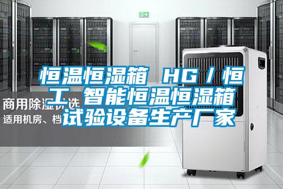 恒溫恒濕箱 HG/恒工 智能恒溫恒濕箱 試驗設備生產(chǎn)廠家