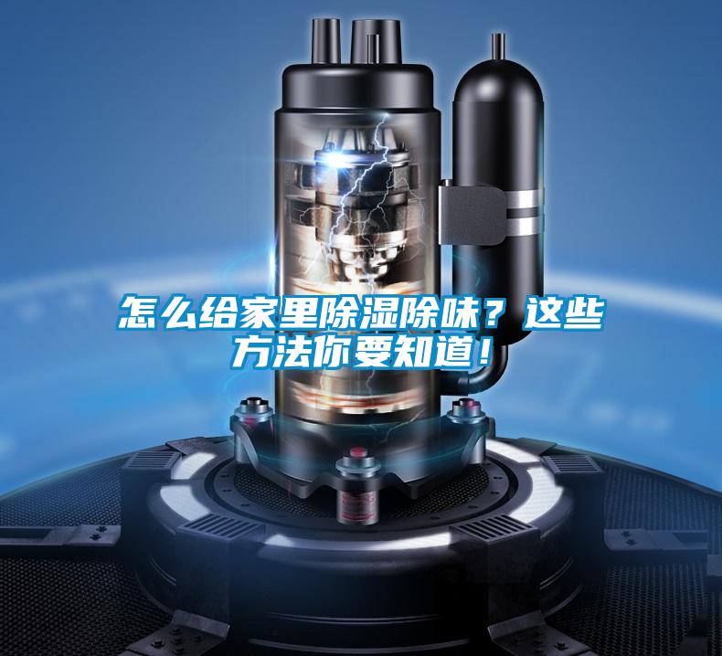 怎么給家里除濕除味？這些方法你要知道！
