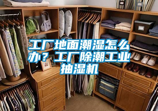 工廠地面潮濕怎么辦?工廠除潮工業(yè)抽濕機(jī)