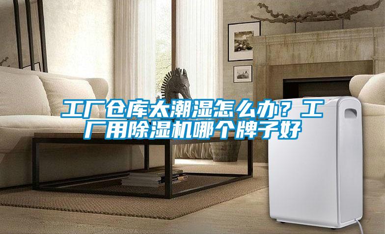 工廠倉(cāng)庫(kù)太潮濕怎么辦?工廠用除濕機(jī)哪個(gè)牌子好