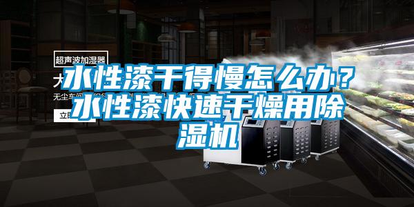水性漆干得慢怎么辦?水性漆快速干燥用除濕機(jī)