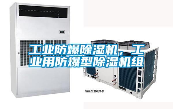 工業(yè)防爆除濕機,工業(yè)用防爆型除濕機組