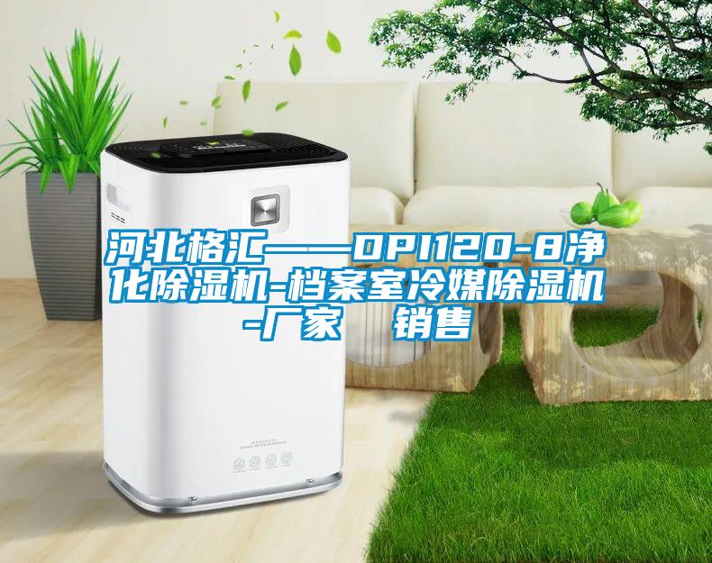 河北格匯——DPI120-8凈化除濕機-檔案室冷媒除濕機-廠家 銷售