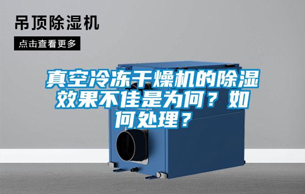 真空冷凍干燥機的除濕效果不佳是為何？如何處理？