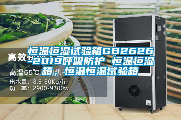 恒溫恒濕試驗(yàn)箱GB2626-2019呼吸防護(hù) 恒溫恒濕箱,恒溫恒濕試驗(yàn)箱