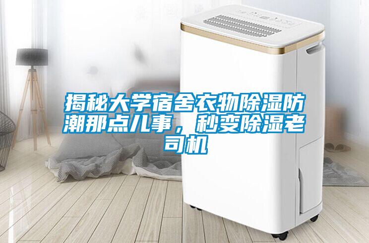 揭秘大學宿舍衣物除濕防潮那點兒事,秒變除濕老司機