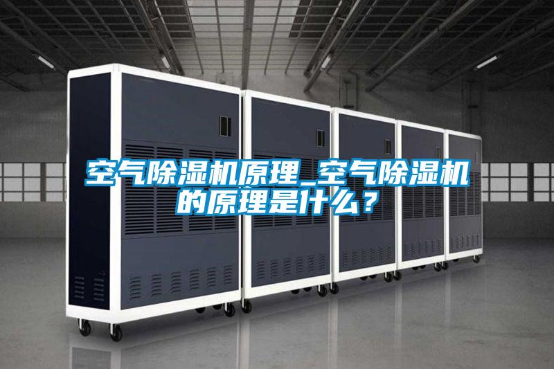 空氣除濕機原理_空氣除濕機的原理是什么？