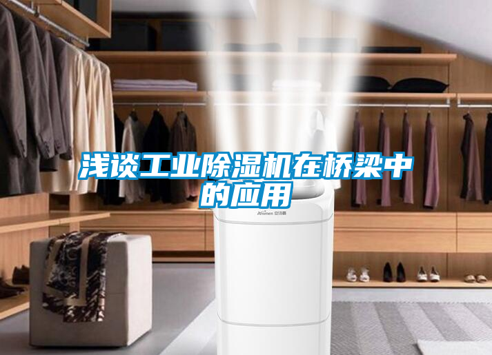 淺談工業除濕機在橋梁中的應用