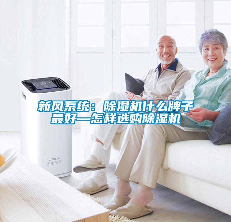 新風系統(tǒng):除濕機什么牌子最好—怎樣選購除濕機