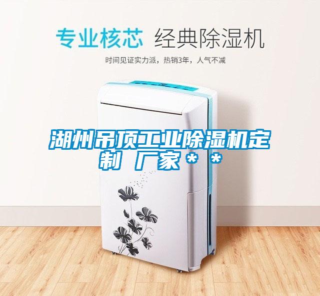湖州吊頂工業(yè)除濕機(jī)定制 廠家**