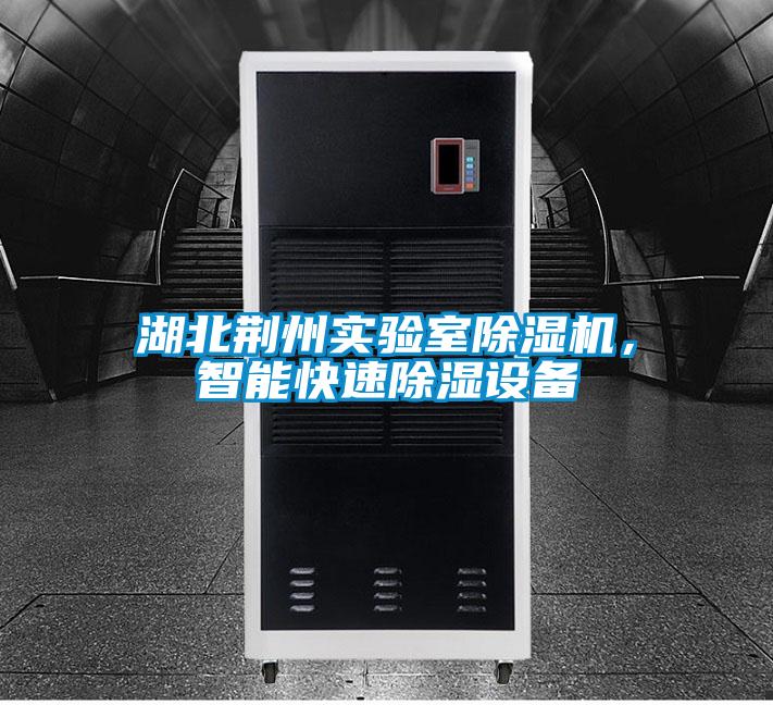 湖北荊州實驗室除濕機,智能快速除濕設備