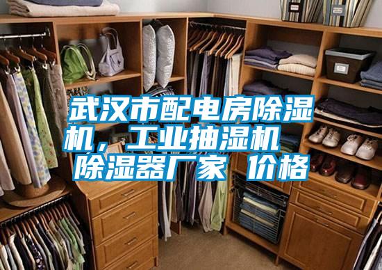 武漢市配電房除濕機,工業抽濕機 除濕器廠家 價格