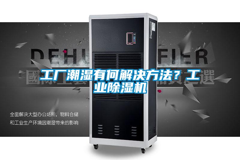 工廠潮濕有何解決方法?工業除濕機
