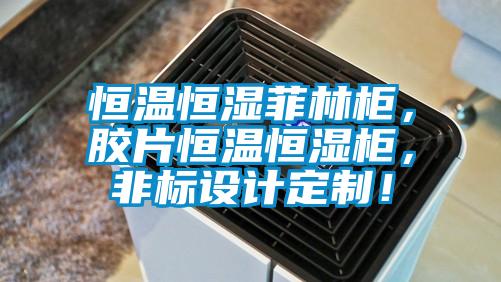 恒溫恒濕菲林柜,膠片恒溫恒濕柜,非標設計定制!