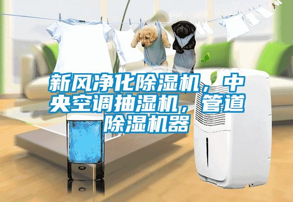 新風凈化除濕機,中央空調抽濕機,管道除濕機器