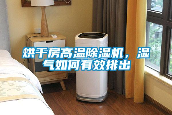 烘干房高溫除濕機(jī)，濕氣如何有效排出