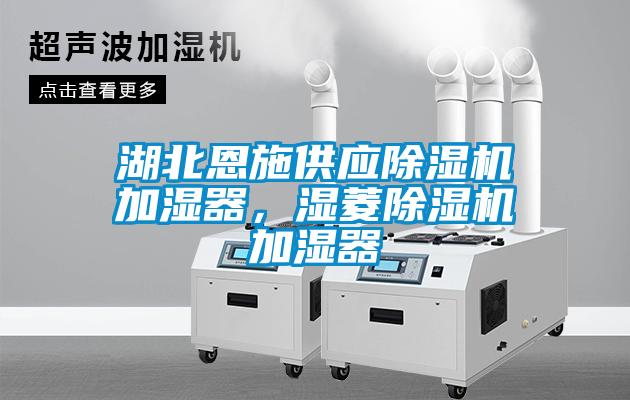 湖北恩施供應(yīng)除濕機(jī)加濕器,濕菱除濕機(jī)加濕器