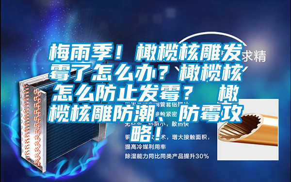 梅雨季！橄欖核雕發(fā)霉了怎么辦？橄欖核怎么防止發(fā)霉？ 橄欖核雕防潮、防霉攻略！