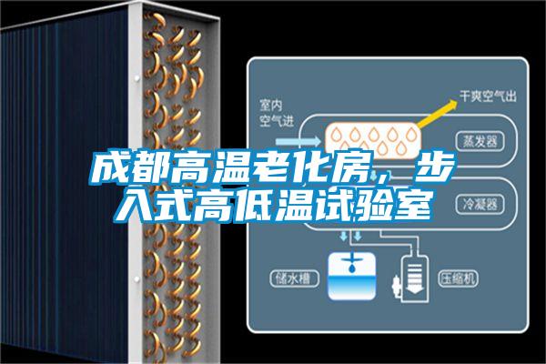 成都高溫老化房,步入式高低溫試驗(yàn)室