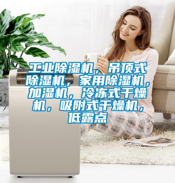 工業(yè)除濕機,吊頂式除濕機,家用除濕機,加濕機,冷凍式干燥機,吸附式干燥機,低露點