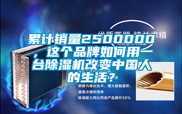 累計銷量2500000,這個品牌如何用一臺除濕機改變中國人的生活?