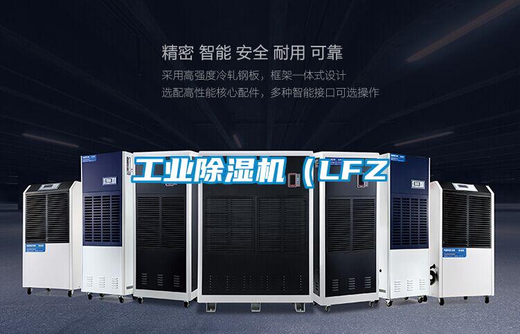 工業(yè)除濕機(jī)(LFZ