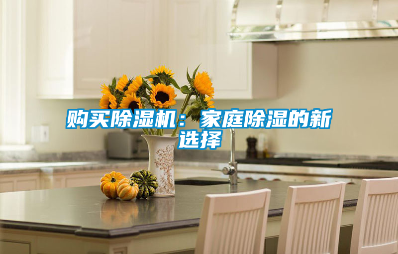 購(gòu)買(mǎi)除濕機(jī):家庭除濕的新選擇