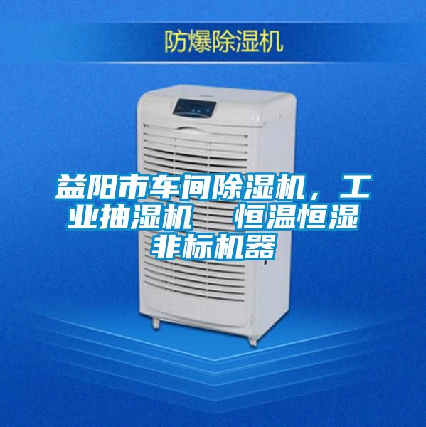 益陽市車間除濕機，工業(yè)抽濕機  恒溫恒濕非標機器
