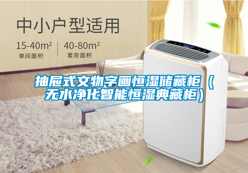 抽屜式文物字畫恒濕儲藏柜(無水凈化智能恒濕典藏柜)