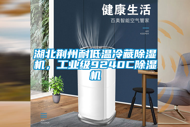 湖北荊州耐低溫冷藏除濕機,工業級9240C除濕機