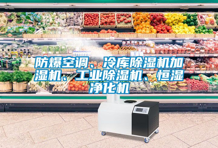 防爆空調、冷庫除濕機加濕機、工業除濕機、恒濕凈化機