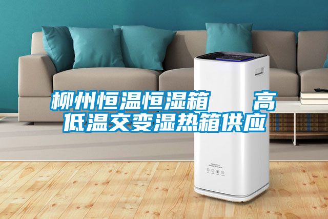 柳州恒溫恒濕箱 高低溫交變濕熱箱供應(yīng)