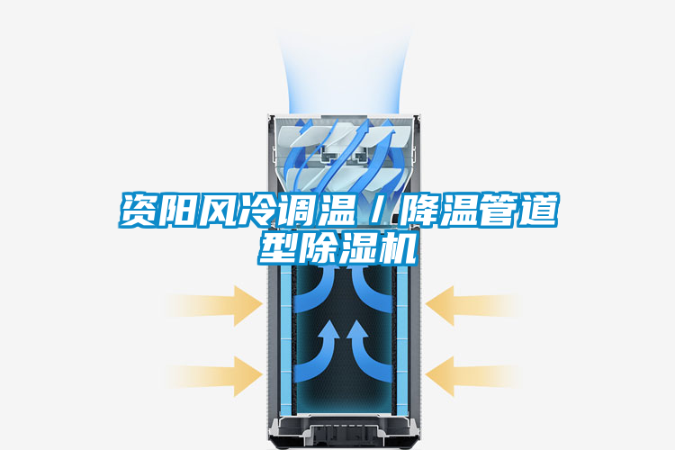 資陽(yáng)風(fēng)冷調(diào)溫/降溫管道型除濕機(jī)