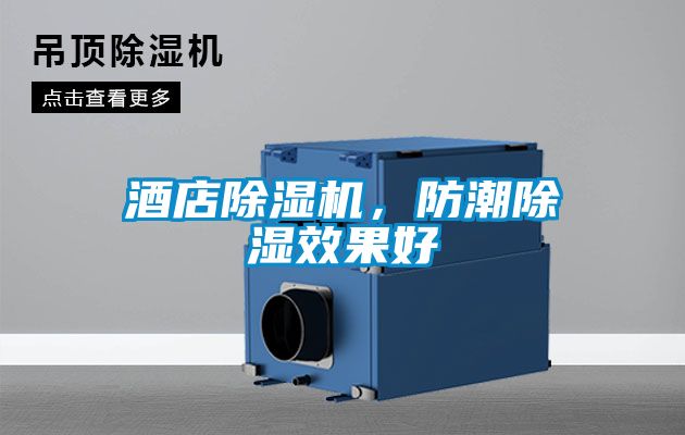 酒店除濕機，防潮除濕效果好