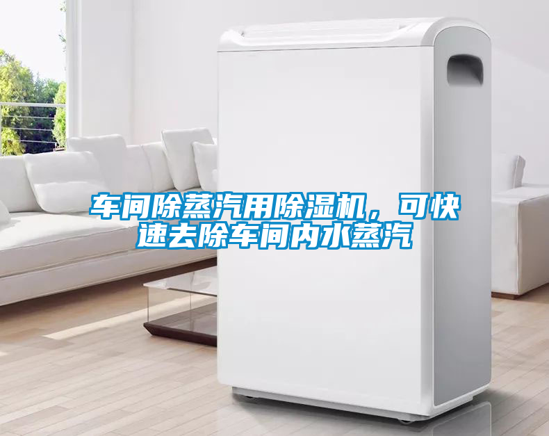 車間除蒸汽用除濕機,可快速去除車間內水蒸汽