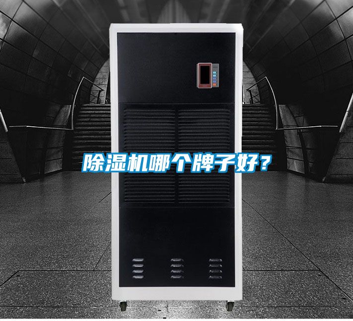 除濕機哪個牌子好?