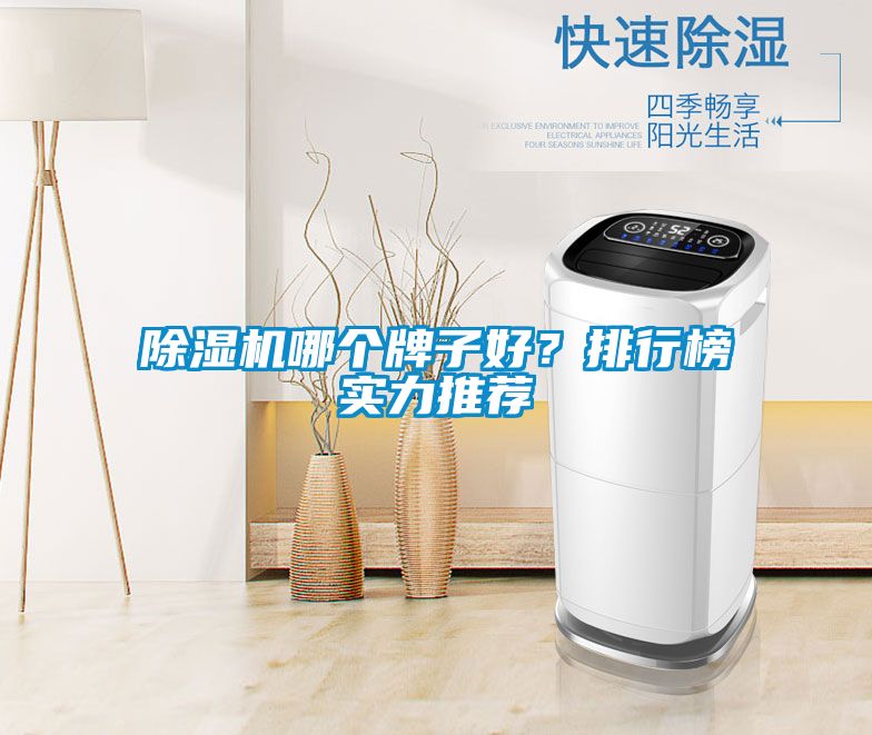 除濕機哪個牌子好?排行榜實力推薦