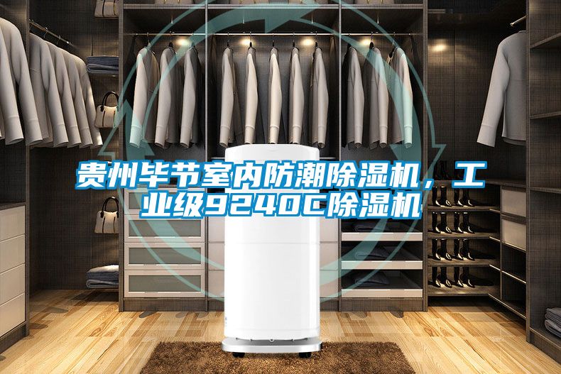 貴州畢節(jié)室內(nèi)防潮除濕機,工業(yè)級9240C除濕機