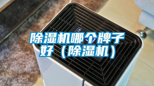 除濕機哪個牌子好(除濕機)
