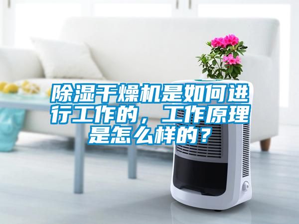 除濕干燥機是如何進行工作的,工作原理是怎么樣的?