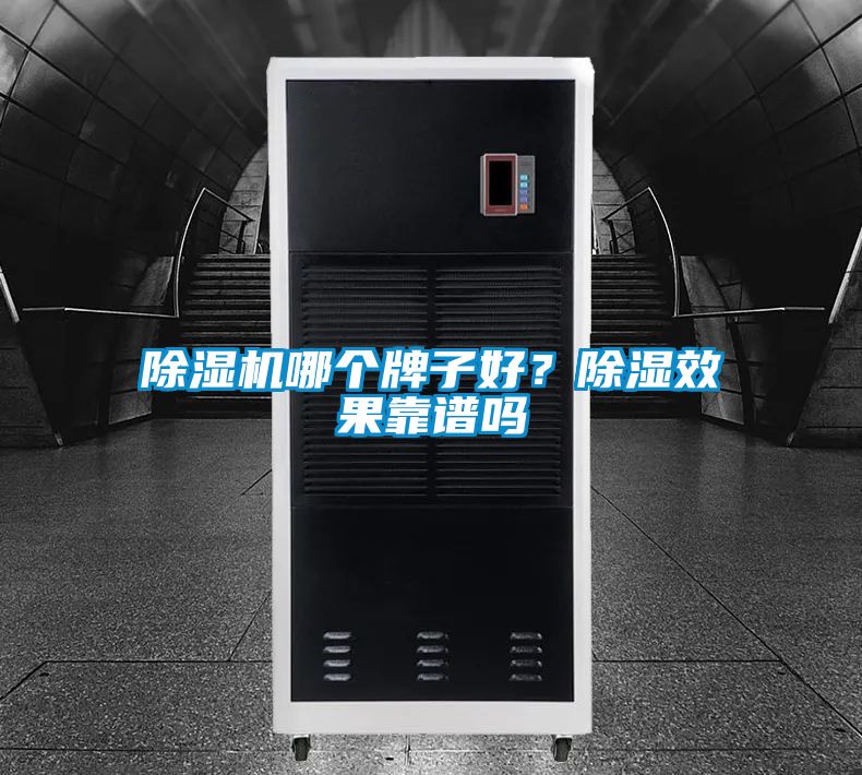 除濕機哪個牌子好？除濕效果靠譜嗎