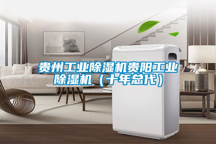 貴州工業(yè)除濕機(jī)貴陽工業(yè)除濕機(jī)(十年總代)