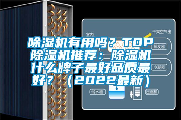 除濕機有用嗎?TOP除濕機推薦:除濕機什么牌子最好品質最好?(2022最新)