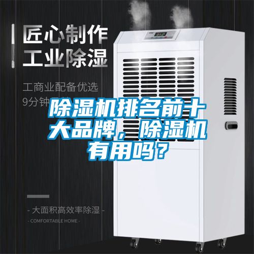 除濕機排名前十大品牌，除濕機有用嗎？