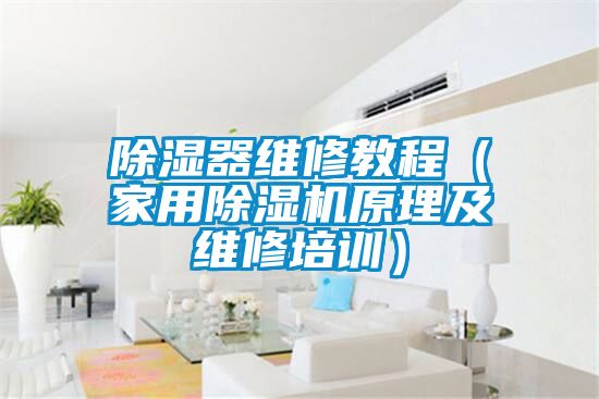 除濕器維修教程(家用除濕機(jī)原理及維修培訓(xùn))