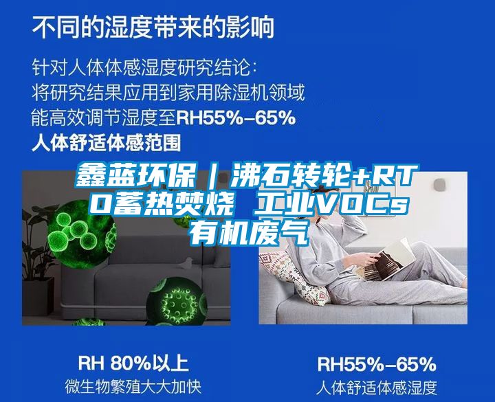 鑫藍環保|沸石轉輪+RTO蓄熱焚燒 工業VOCs有機廢氣